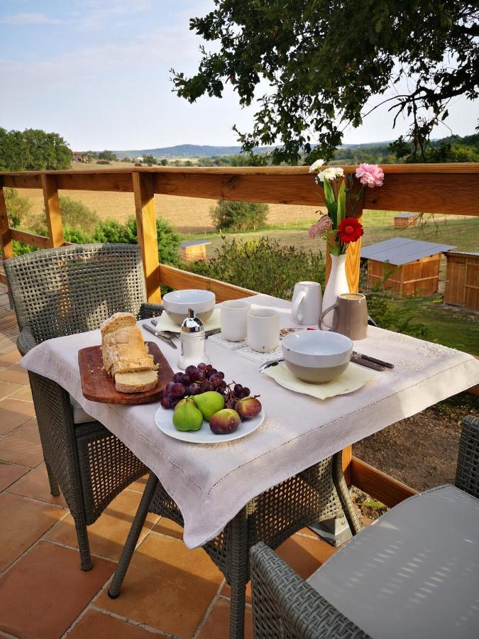 Castel Mazars Bed & Breakfast Castelnau-de-Montmiral Exterior photo